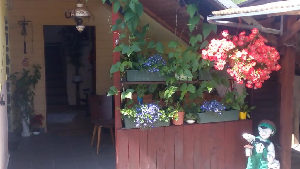 U Tri Kocek Hotel Jablonné v Podještědí Kültér fotó